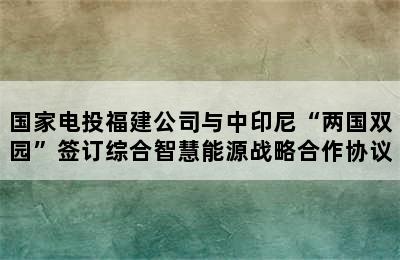 国家电投福建公司与中印尼“两国双园”签订综合智慧能源战略合作协议