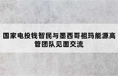 国家电投钱智民与墨西哥祖玛能源高管团队见面交流