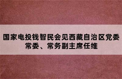 国家电投钱智民会见西藏自治区党委常委、常务副主席任维