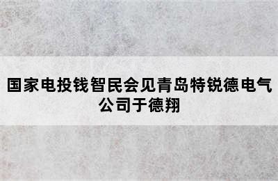 国家电投钱智民会见青岛特锐德电气公司于德翔