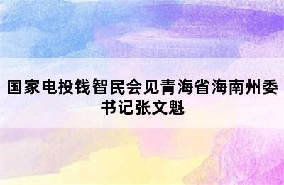 国家电投钱智民会见青海省海南州委书记张文魁