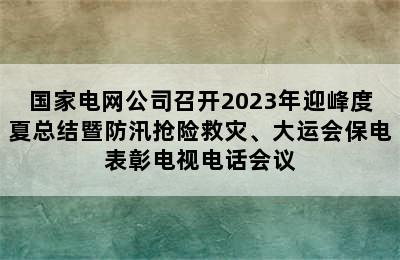 国家电网公司召开2023年迎峰度夏总结暨防汛抢险救灾、大运会保电表彰电视电话会议