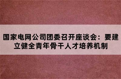 国家电网公司团委召开座谈会：要建立健全青年骨干人才培养机制