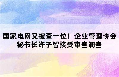 国家电网又被查一位！企业管理协会秘书长许子智接受审查调查