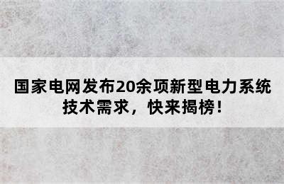 国家电网发布20余项新型电力系统技术需求，快来揭榜！