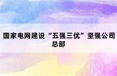 国家电网建设“五强三优”坚强公司总部