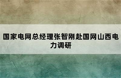 国家电网总经理张智刚赴国网山西电力调研