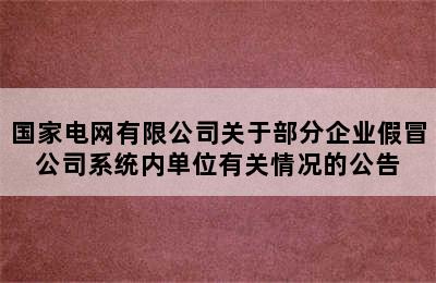 国家电网有限公司关于部分企业假冒公司系统内单位有关情况的公告