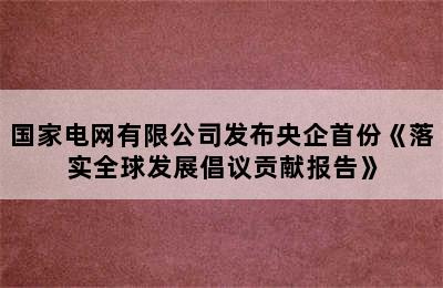 国家电网有限公司发布央企首份《落实全球发展倡议贡献报告》