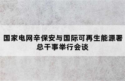 国家电网辛保安与国际可再生能源署总干事举行会谈