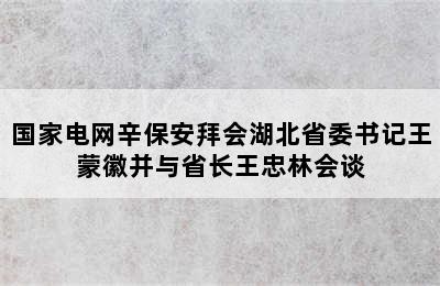 国家电网辛保安拜会湖北省委书记王蒙徽并与省长王忠林会谈