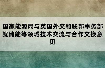 国家能源局与英国外交和联邦事务部就储能等领域技术交流与合作交换意见