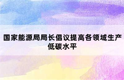 国家能源局局长倡议提高各领域生产低碳水平