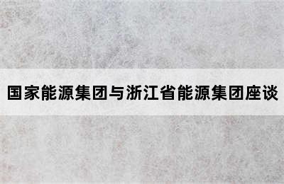 国家能源集团与浙江省能源集团座谈