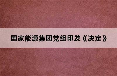 国家能源集团党组印发《决定》