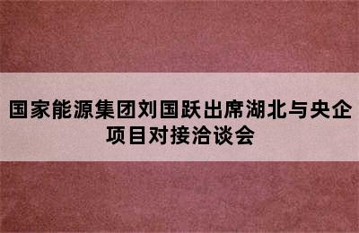 国家能源集团刘国跃出席湖北与央企项目对接洽谈会