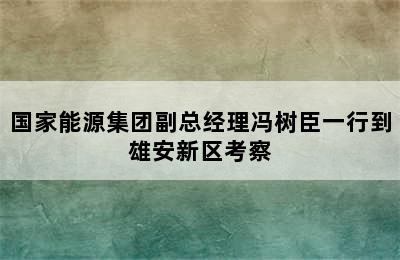 国家能源集团副总经理冯树臣一行到雄安新区考察