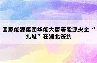 国家能源集团华能大唐等能源央企“扎堆”在湖北签约