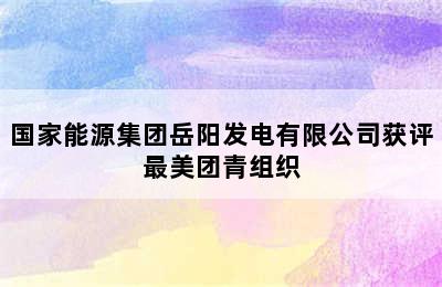 国家能源集团岳阳发电有限公司获评最美团青组织