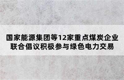 国家能源集团等12家重点煤炭企业联合倡议积极参与绿色电力交易