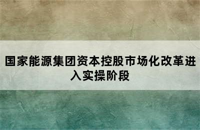 国家能源集团资本控股市场化改革进入实操阶段