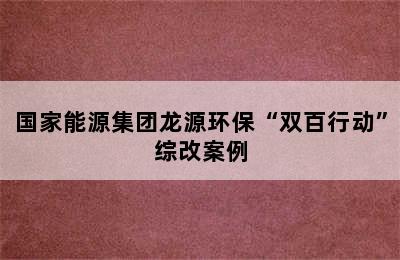 国家能源集团龙源环保“双百行动”综改案例