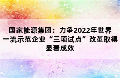 国家能源集团：力争2022年世界一流示范企业“三项试点”改革取得显著成效