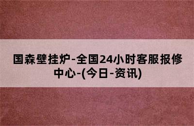 国森壁挂炉-全国24小时客服报修中心-(今日-资讯)