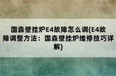 国森壁挂炉E4故障怎么调(E4故障调整方法：国森壁挂炉维修技巧详解)