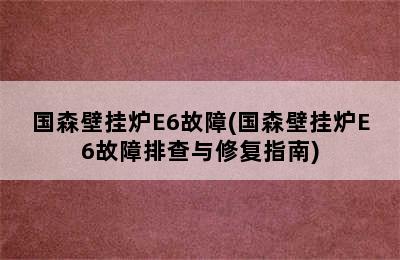 国森壁挂炉E6故障(国森壁挂炉E6故障排查与修复指南)