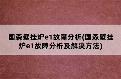 国森壁挂炉e1故障分析(国森壁挂炉e1故障分析及解决方法)