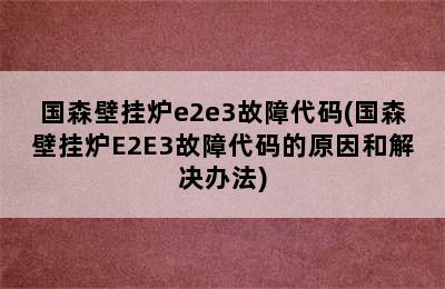 国森壁挂炉e2e3故障代码(国森壁挂炉E2E3故障代码的原因和解决办法)