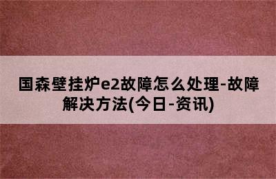 国森壁挂炉e2故障怎么处理-故障解决方法(今日-资讯)