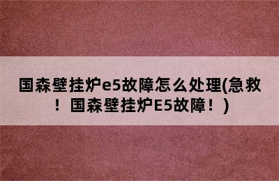 国森壁挂炉e5故障怎么处理(急救！国森壁挂炉E5故障！)