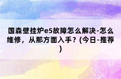 国森壁挂炉e5故障怎么解决-怎么维修，从那方面入手？(今日-推荐)