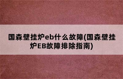 国森壁挂炉eb什么故障(国森壁挂炉EB故障排除指南)