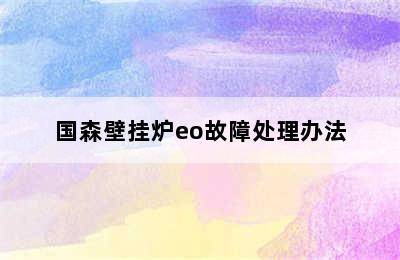 国森壁挂炉eo故障处理办法