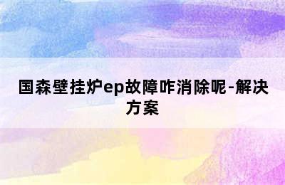 国森壁挂炉ep故障咋消除呢-解决方案