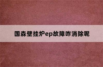 国森壁挂炉ep故障咋消除呢