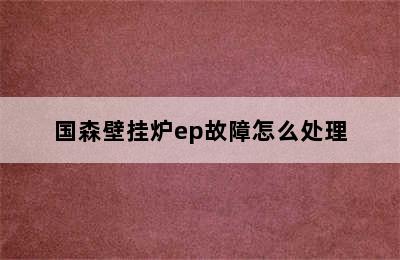 国森壁挂炉ep故障怎么处理