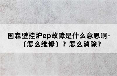 国森壁挂炉ep故障是什么意思啊-（怎么维修）？怎么消除？