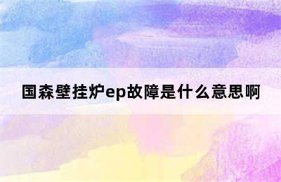 国森壁挂炉ep故障是什么意思啊