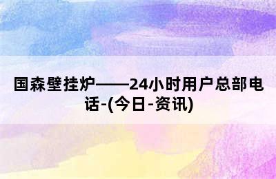 国森壁挂炉——24小时用户总部电话-(今日-资讯)