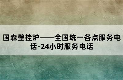 国森壁挂炉——全国统一各点服务电话-24小时服务电话