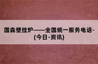 国森壁挂炉——全国统一服务电话-(今日-资讯)