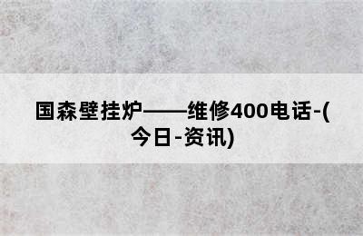 国森壁挂炉——维修400电话-(今日-资讯)