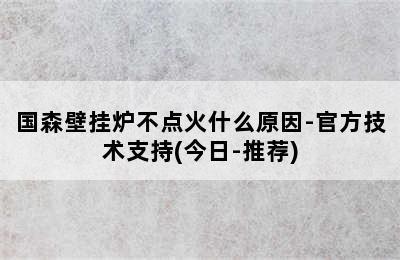 国森壁挂炉不点火什么原因-官方技术支持(今日-推荐)