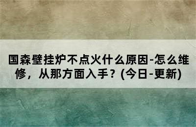 国森壁挂炉不点火什么原因-怎么维修，从那方面入手？(今日-更新)