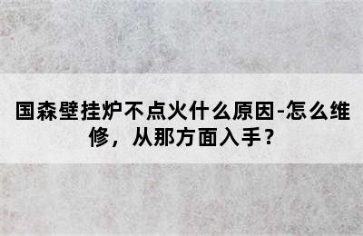 国森壁挂炉不点火什么原因-怎么维修，从那方面入手？