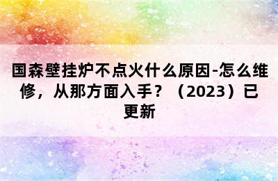 国森壁挂炉不点火什么原因-怎么维修，从那方面入手？（2023）已更新